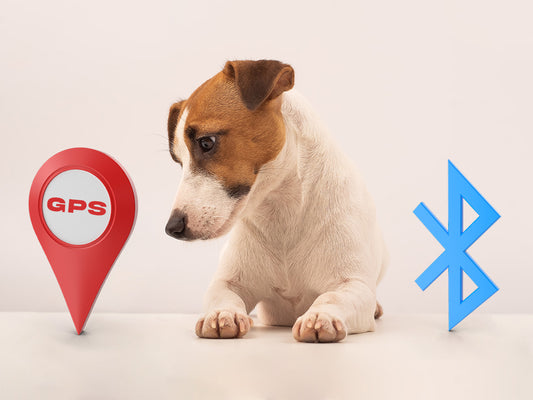 The difference between a Bluetooth and GPS Pet Tracker