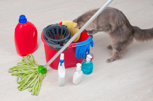 How to Keep your Pet-Friendly House Smelling Fresh