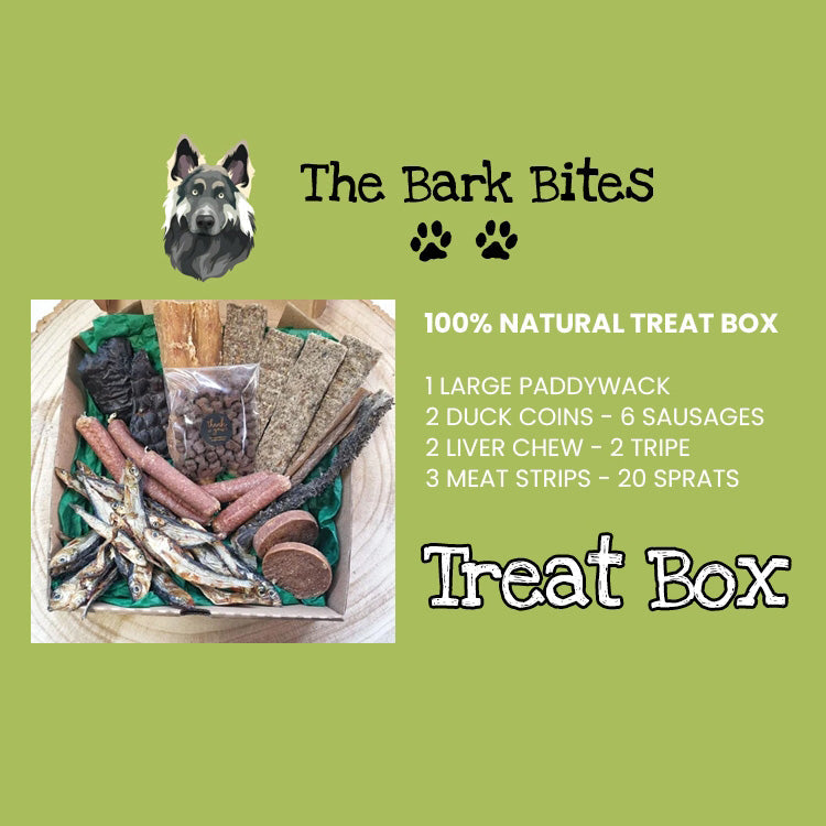 Treat Box from Bark Bites